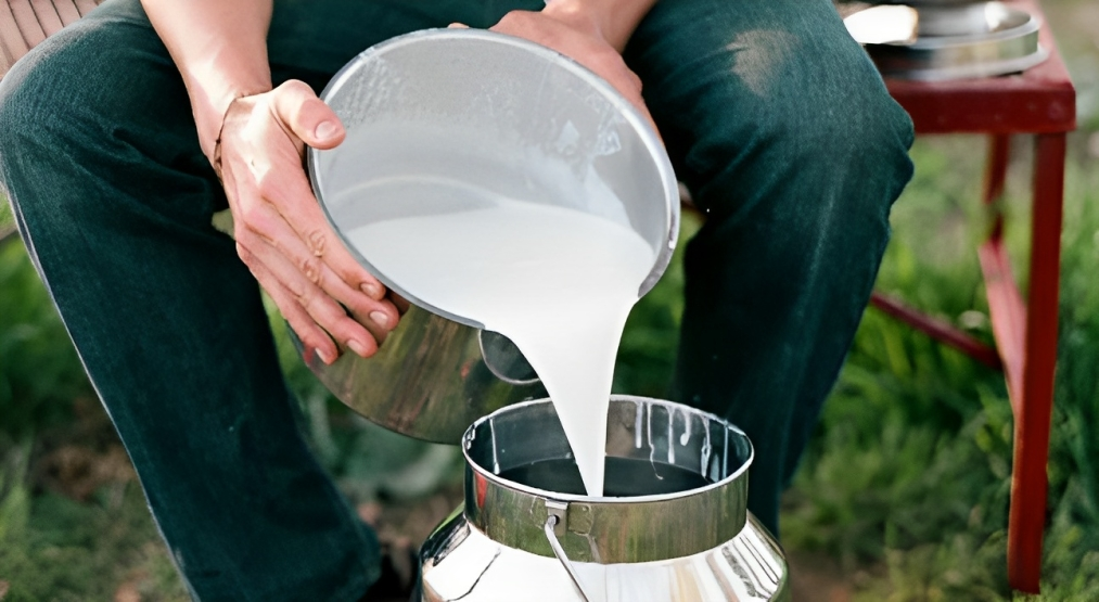 RAW MILK PREMIUM ALLOWANCE